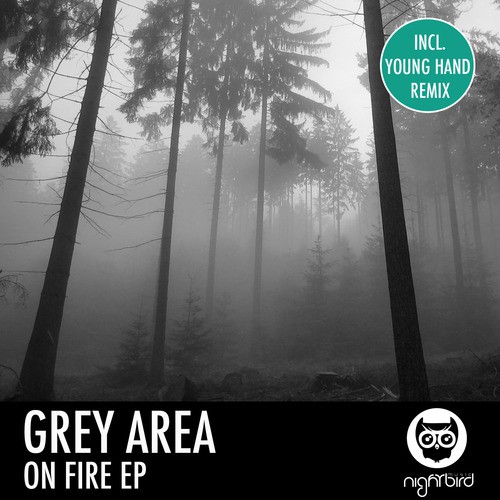 Grey Area Songs MP3 Download
